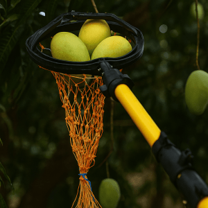 FESTEL FRP Telescopic Pole With Fruit Picker