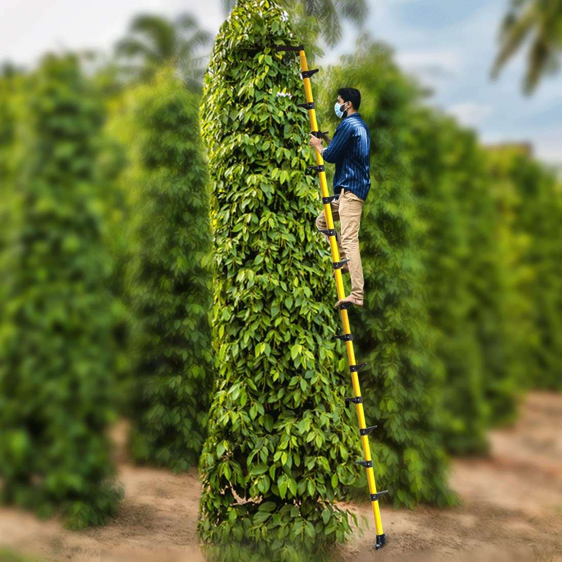 FESTEL Skyreach Lightweight 8-to-24 Ft Fiberglass Step Ladder,Portable,Detachable,Multipurpose Step Ladder for Home & Outdoor