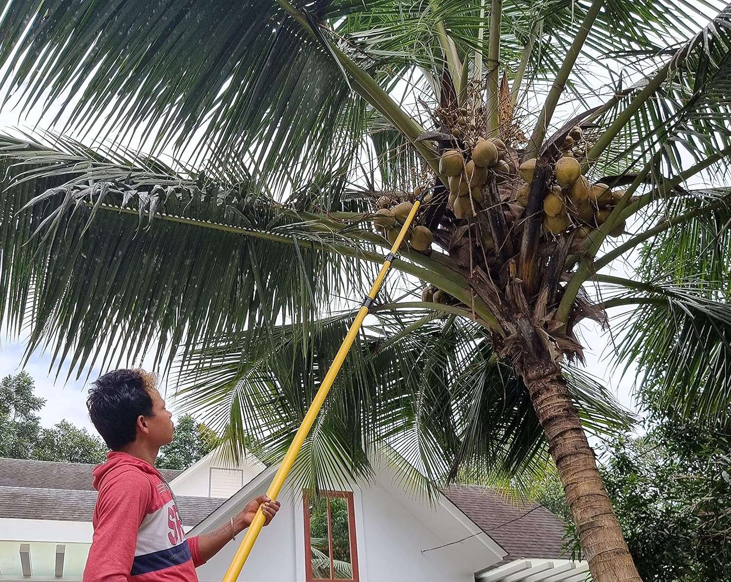 FESTEL Skytuch Shock Proof Multipurpose Extendable Telescopic Pole with (2 Attachments) Coconut Plucker, Mango Fruit Picker - Image 7