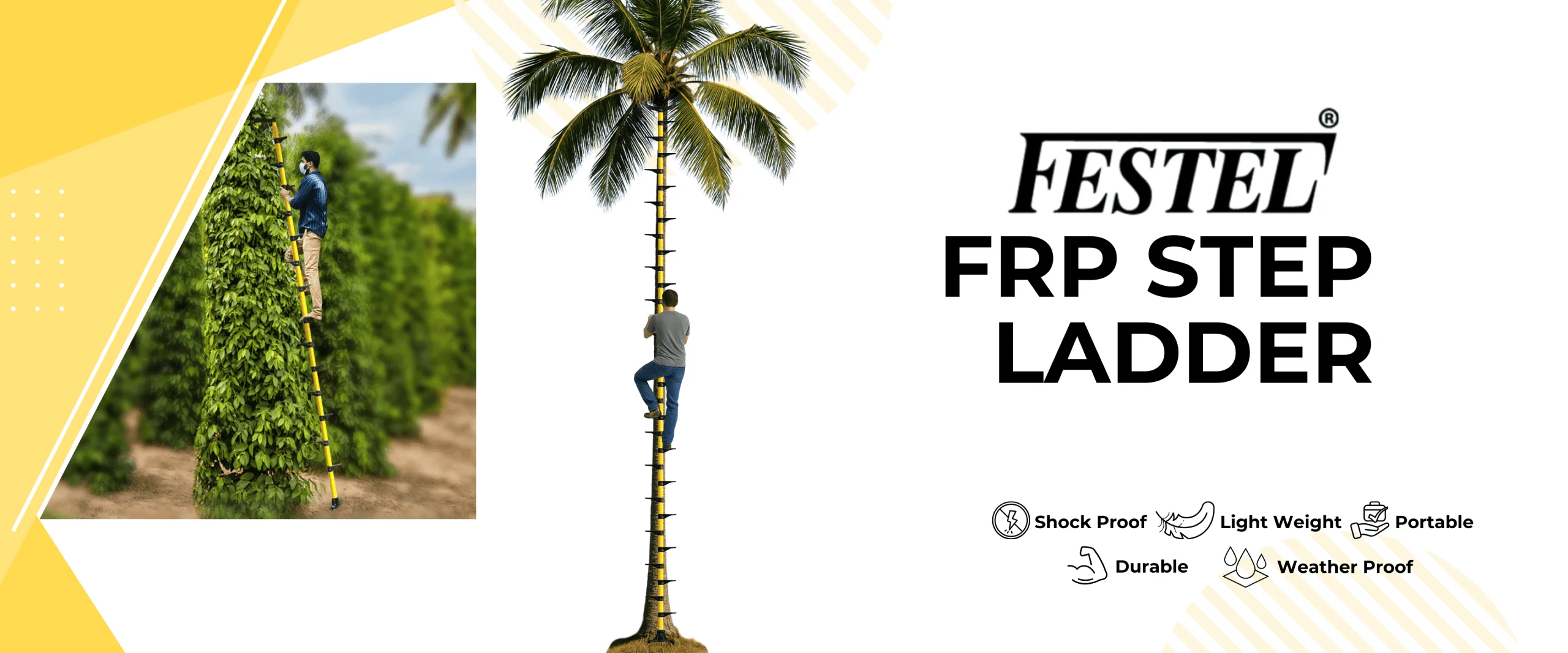 FESTEL Skyreach FRP One Step Ladder